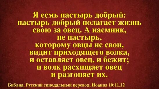 Пастырь не удержался перед формами. Я Пастырь добрый. Пастырь добрый полагает жизнь свою за овец. Я есмь Пастырь добрый. Я есмь Пастырь добрый Пастырь добрый полагает.