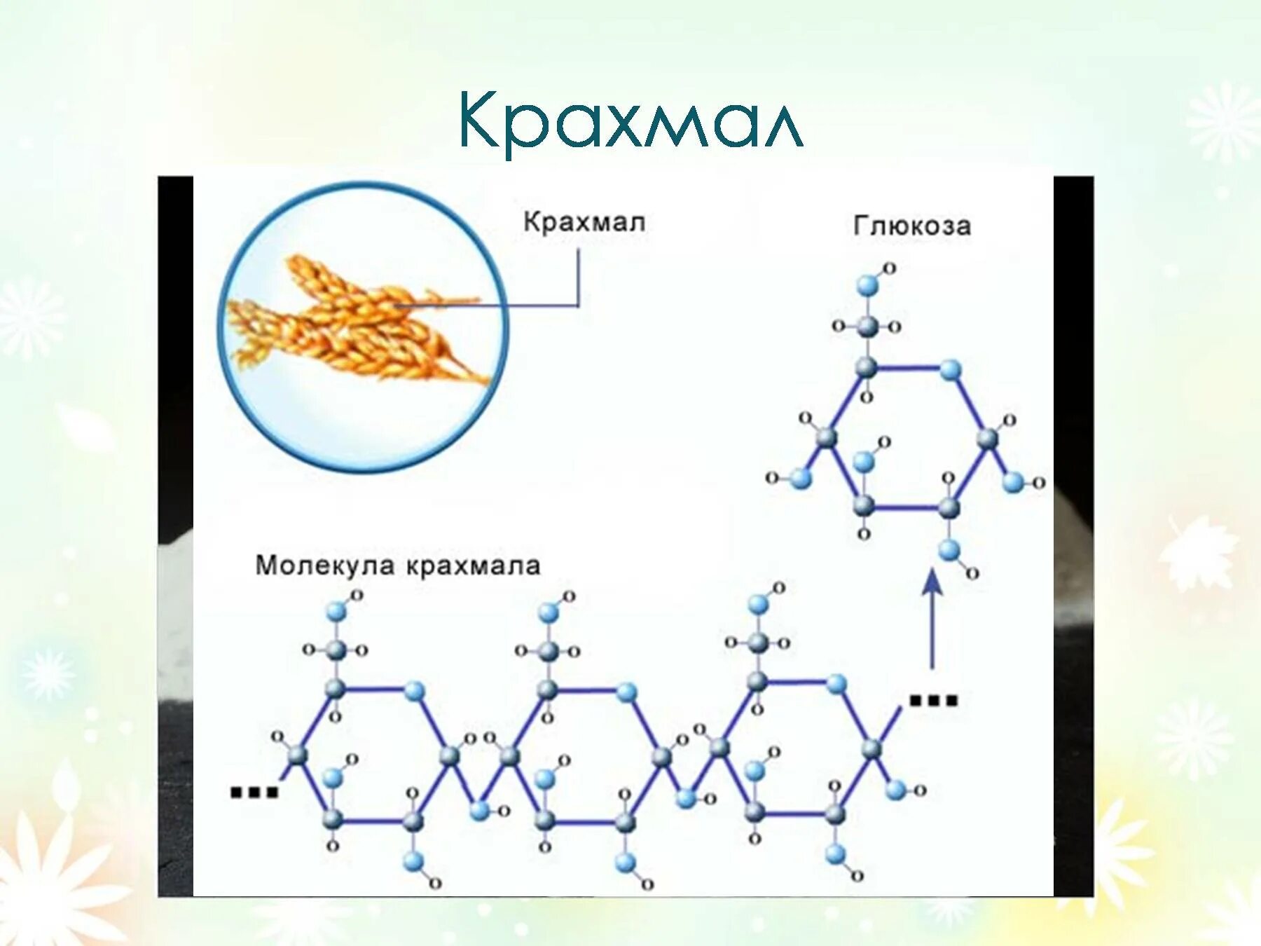 Строение молекулы крахмала и целлюлозы. Молекула крахмала. Структура молекулы крахмала. Классификация крахмала. Крахмал (с6н10о5)n.