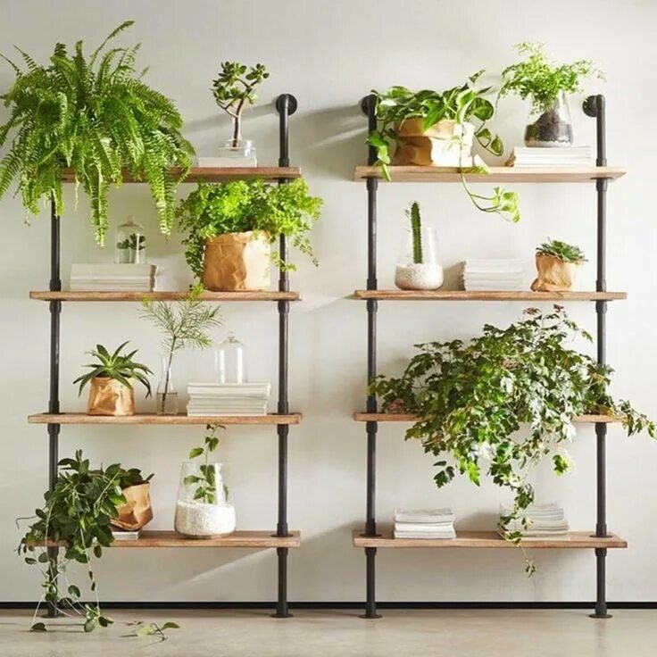 Indoor plants. Стеллаж для цветов. Полочки для цветов. Этажерка для цветов. Стеллаж в интерьере.