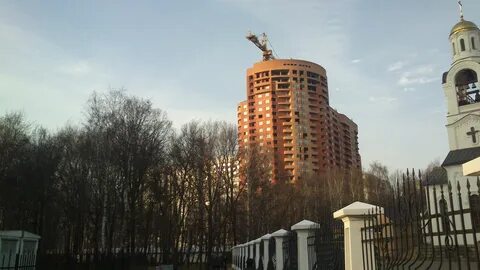 Год химки