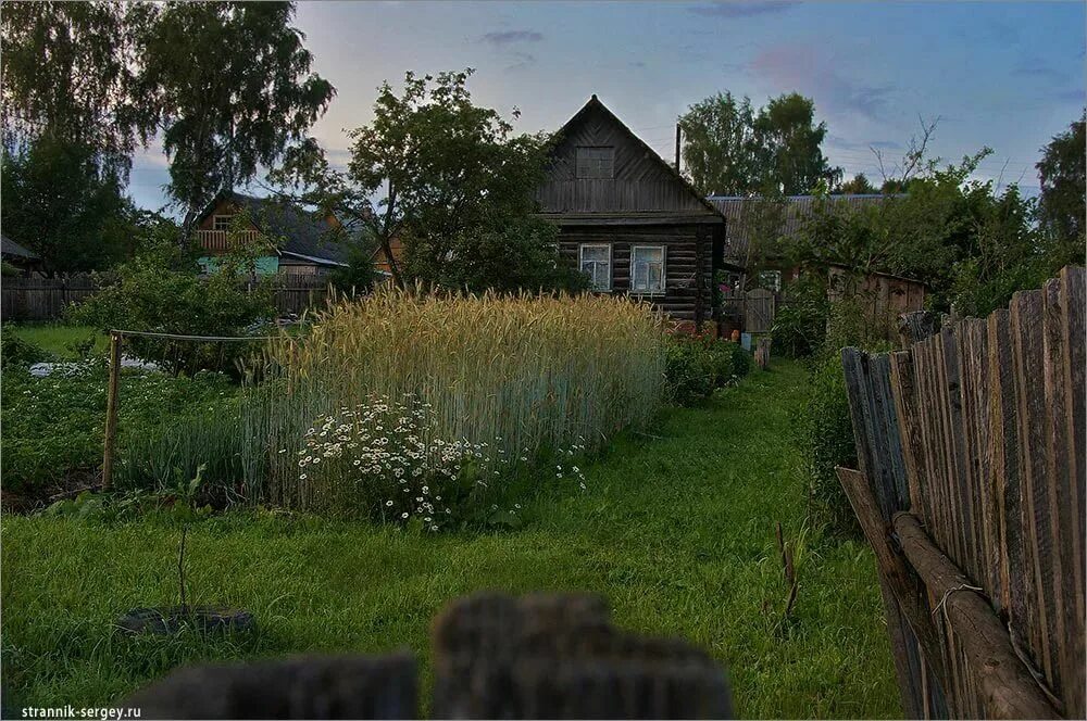 Ночь в деревне летом. Огород ночью в деревне. Деревенский рай. Летняя ночь в деревне. Лето в деревне часть 5