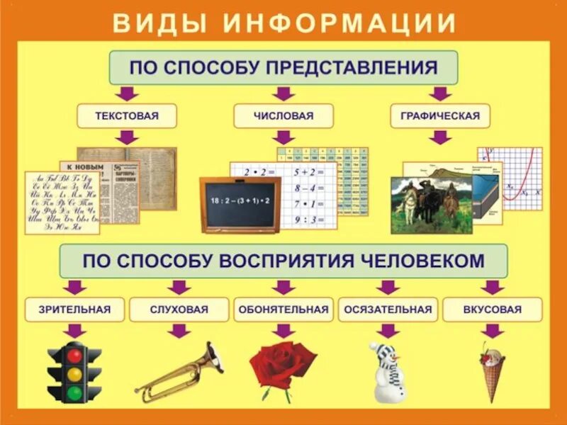 Наглядные пособия по информатике. Наглядности по информатике. Виды информации. Наглядность на уроке. Учебные материалы информатика