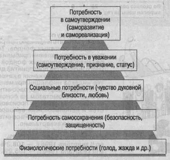 Практическая работа потребности человека