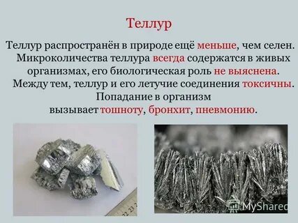 Селен сера