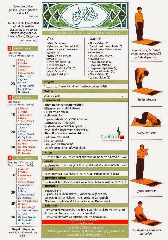 Намаз для начинающих мужчин татарский. Намаз. Намаз шиитов. Слова шиитского намаза. Суннитский намаз для мужчин.