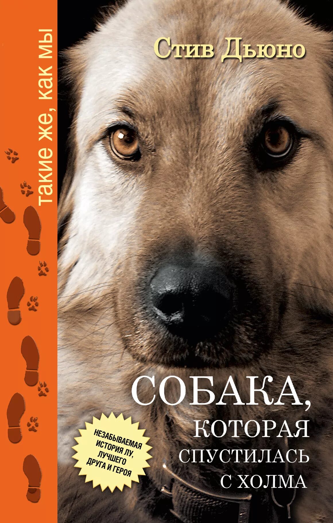 «Собака, которая спустилась с холма» Стива Дьюно. Книги про собак. Книга для…. Книги о собаках Художественные. Рассказ собаки книга