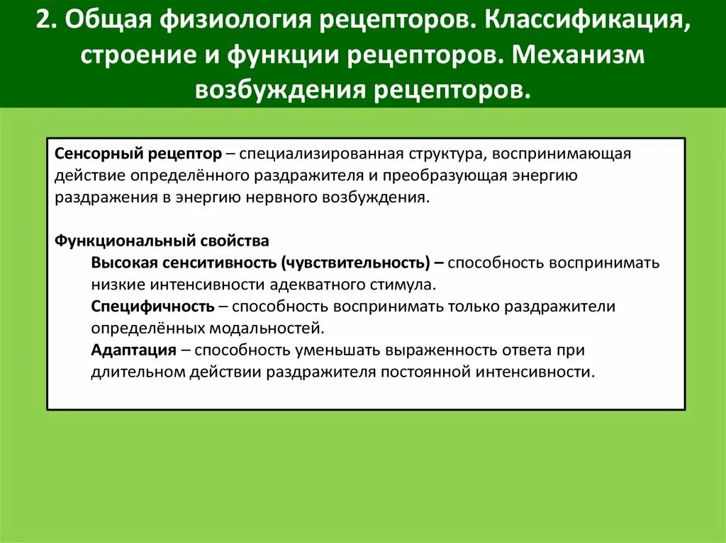 Классификация рецепторов. Функции рецепторов физиология. Классификация и функции рецепторов. Классификация рецепторов физиология.