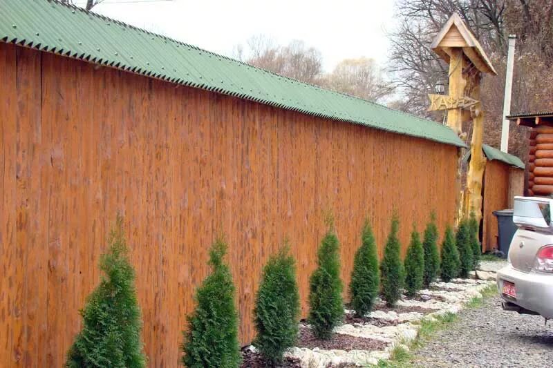 Под над забором. Декор забора из профнастила. Зеленый забор из дерева. Ландшафт вдоль забора. Красивый забор из профнастила.