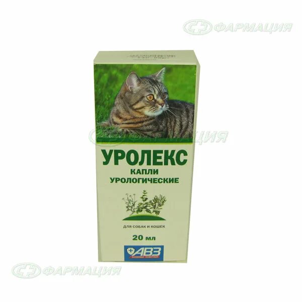 Уролекс для собак. Уролекс капли урологические для собак и кошек 20мл. Капли Агроветзащита уролекс, 50 мл. Уролекс для кошек лекарство. Уролекс аналоги для кошек.