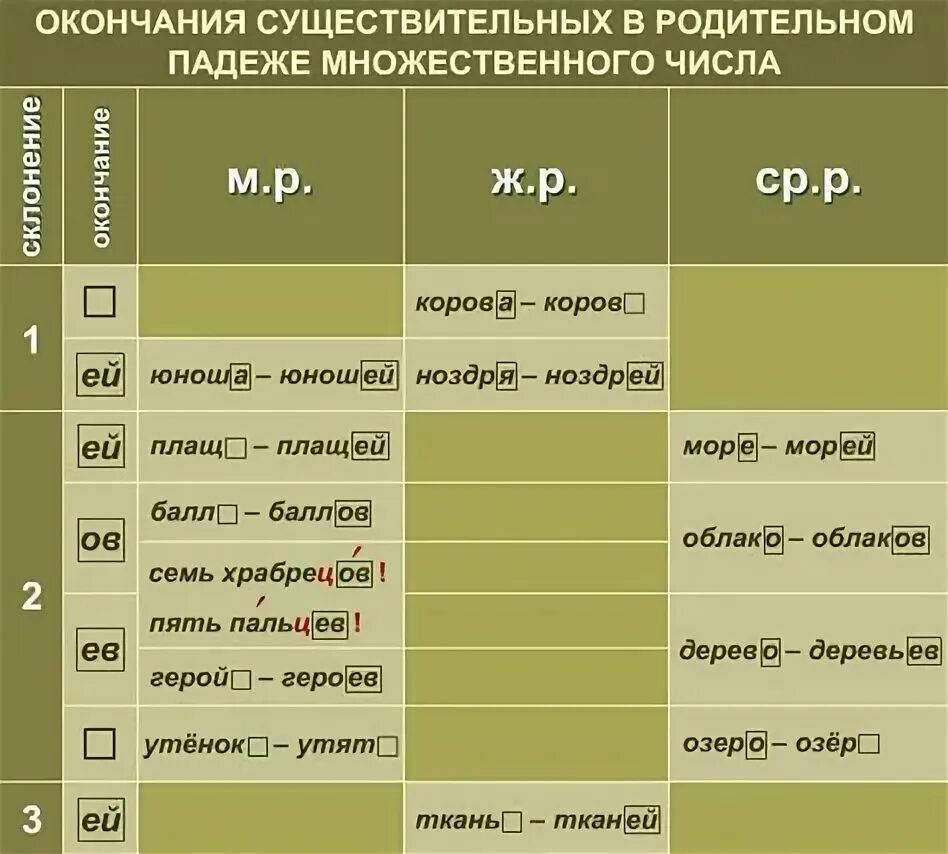 Сторожа множественное число именительный падеж