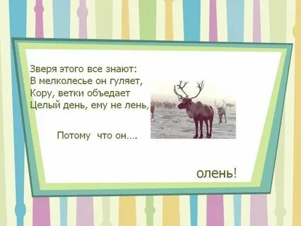 Пословицы олене