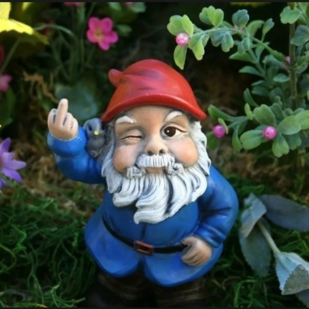 Гном ъуъ. Гномы мультяшные. Гном жевака. Гномео и джульетта мультфильм. Садовые гномы.