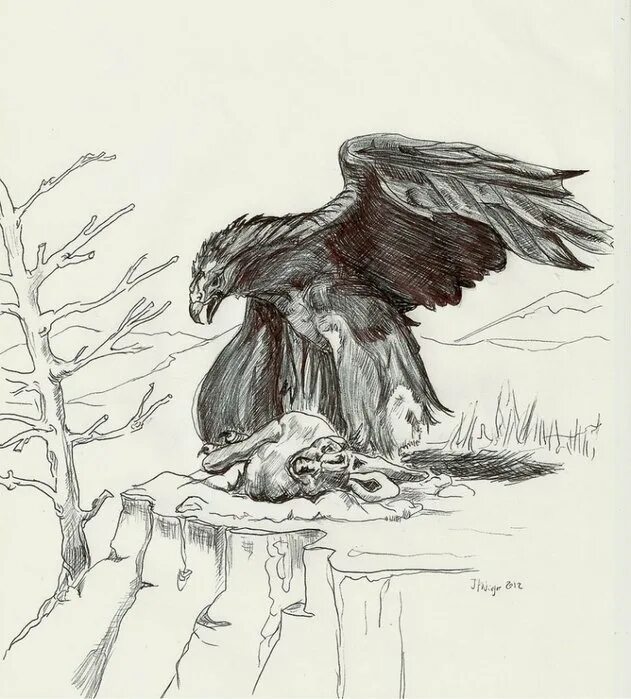 Узник нарисовать иллюстрацию. Картина орел узник пушкина. узник иллюстрация. узник рисунок. иллюстрация к стихотворению узник.