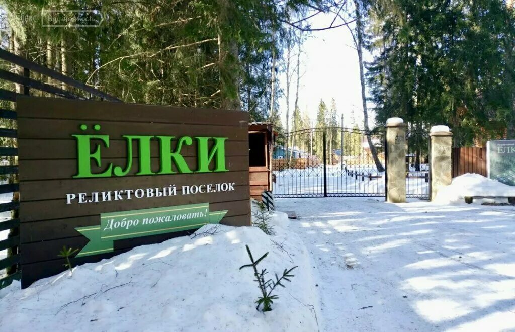 Елки поселок отзывы. Елочка кп новая рига. Кп елки. Елки поселок отзывы. Поселок елочка новорижское шоссе.