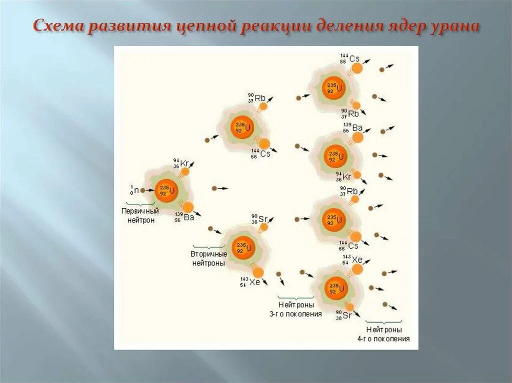 Деление ядер урана было открыто. Цепная ядерная реакция деления ядра. Схема развития цепной реакции деления ядер урана. Деление ядер урана цепная реакция деления. Схема цепной реакции деления ядер урана.