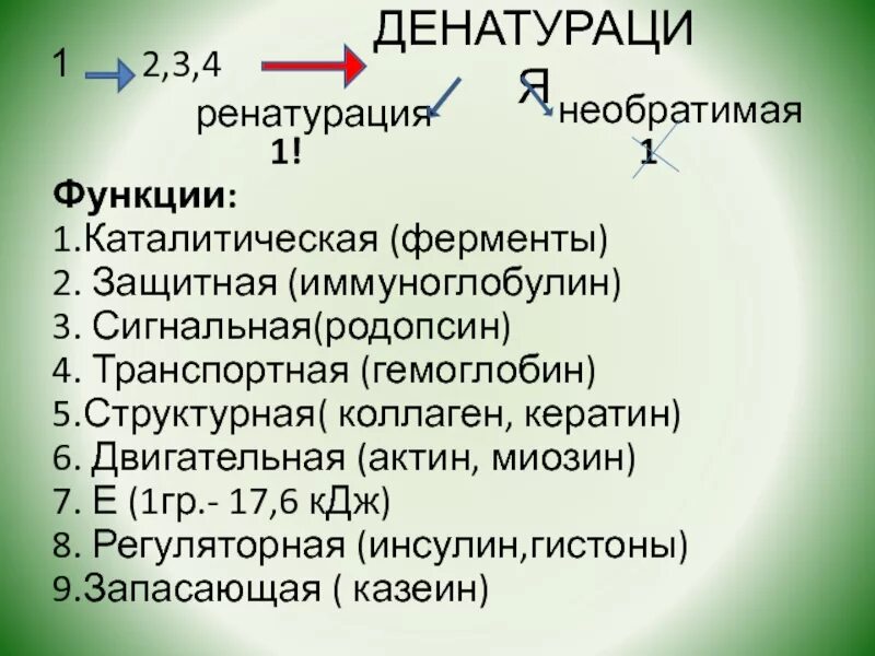 Инсулин выполняет регуляторную функцию. Сигнальную функция в организме выполняет белок антитоксин. сигнальные белки функции. функции казеина в организме человека. актин казеин гемоглобин это вещества.