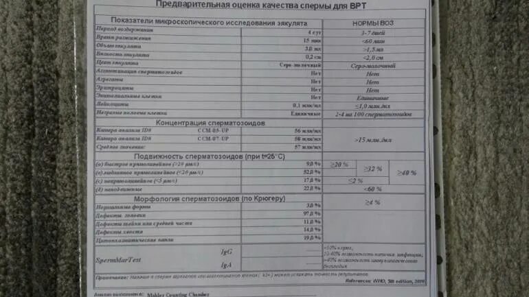 Сдать фрагментацию днк спермограммы. Спермограмма с днк фрагментацией. результаты фрагментации днк спермограммы. исследование эякулята на фрагментацию днк. анализ фрагментации.