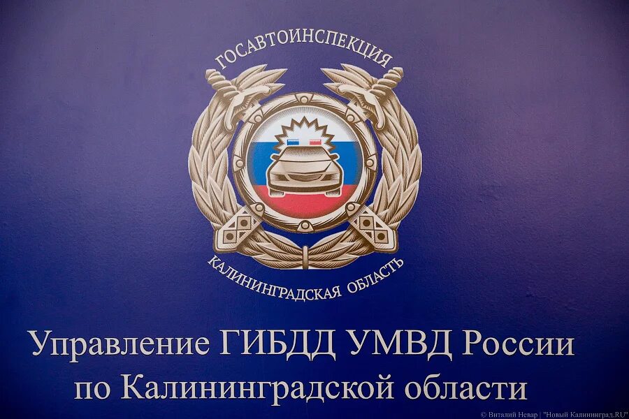 Угибдд по калининградской. Управление гибдд по калининградской области калининград умвд. Управление гибдд калининград. Полиция калининград. Караваев роман сергеевич калининград.