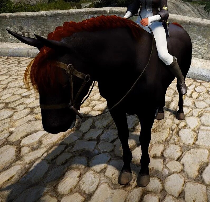Т10 бдо. Адуанит. адуанит бдо. единорог т10 бдо. black desert конбхи.