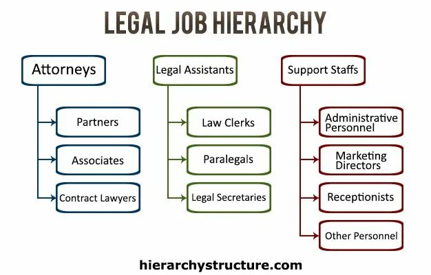 Legal jobs. Hierarchy of Law. Hierarchy structure. Hierarchy in a Company.