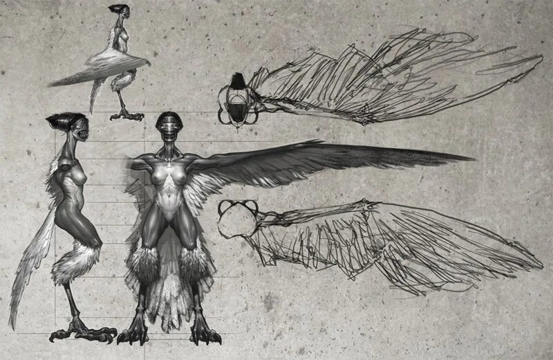Harpy, par C Wallberg #TotalWar Warhammer fantasy roleplay, Warhammer fantasy, W