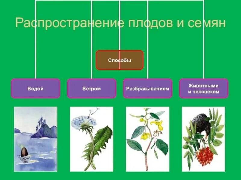 Пример распространяется