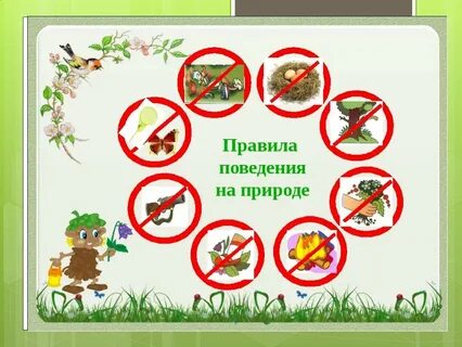Проект экологические правила