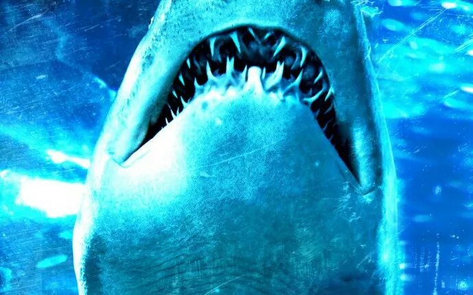 Акульи плотины. Dam sharks (акульи плотины) постер. пейдж лорен биллиот акулья плотина.