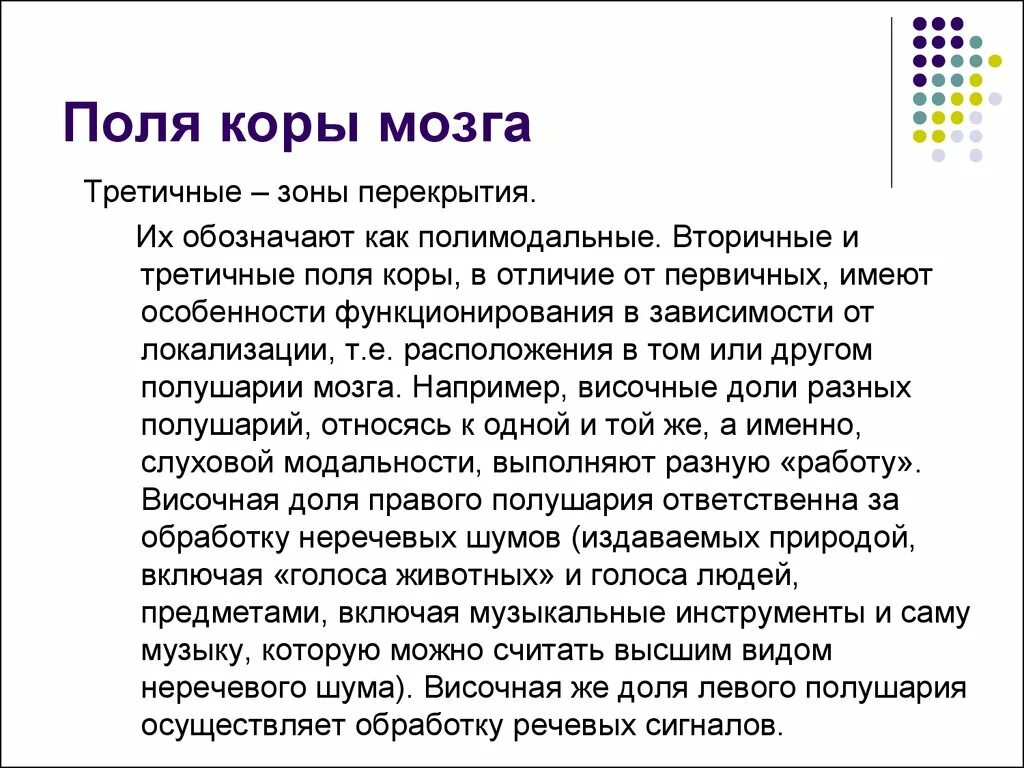 Вторичные поля мозга. Первичные поля коры головного мозга функции. Первичные и вторичные зоны коры. Первичные вторичные и третичные поля коры. Поля мозга первичные вторичные третичные.