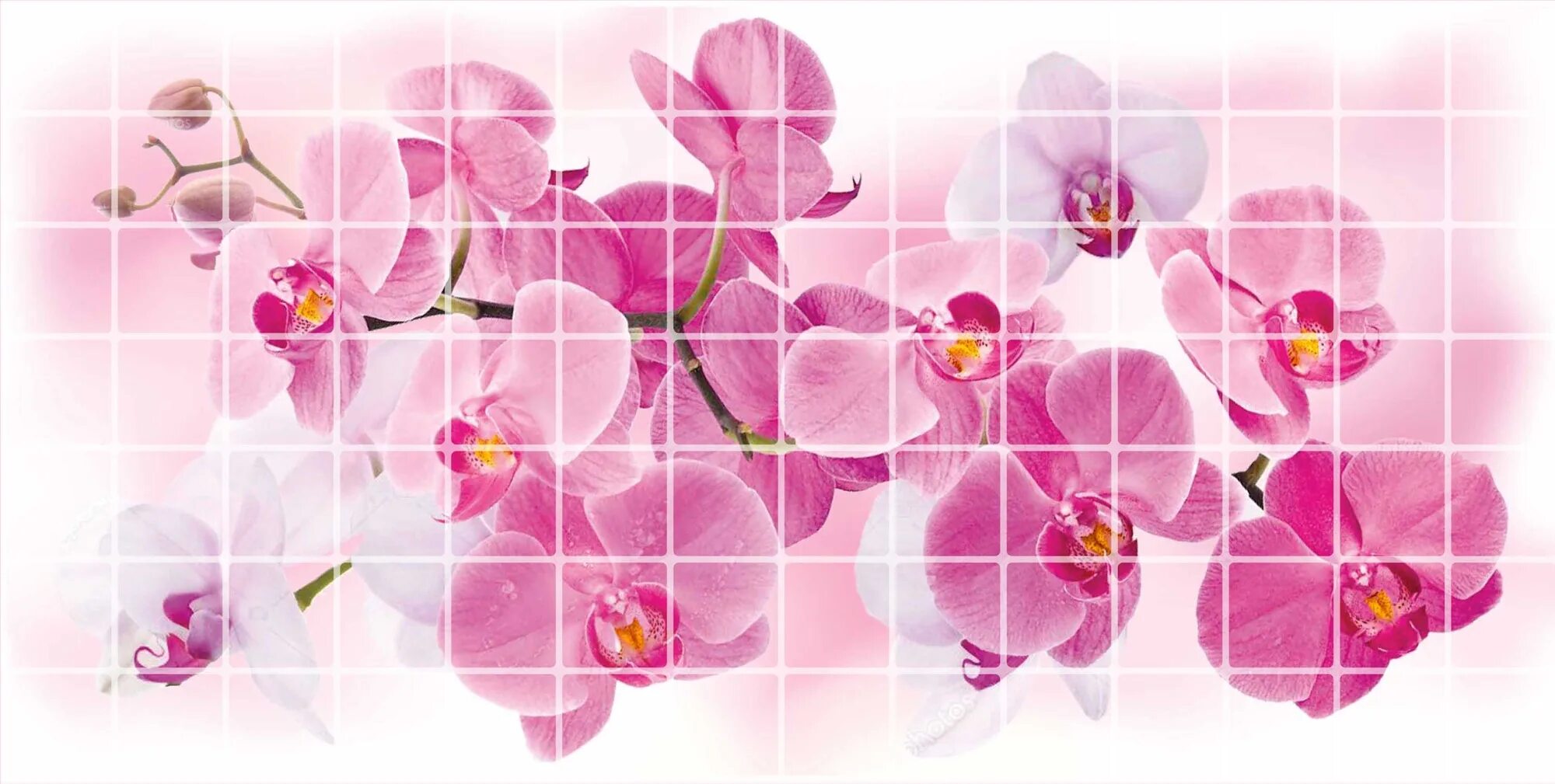 Мозаика Орхидея Розея. Панель ПВХ мозаика Орхидея Розея 480*955*0,2мм. Панель ПВХ Грейс 955*480 мозаика Орхидея Розея. Панель ПВХ мозаика Орхидея Розея. Панель пвх орхидея