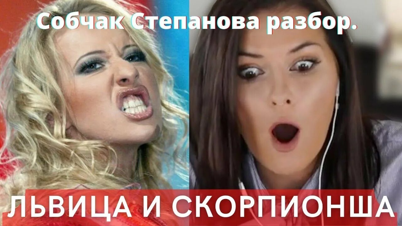 Интервью собчак и степановой. Собчак и степанова. собчак и степанова интервью. осторожно собчак разбор интервью.