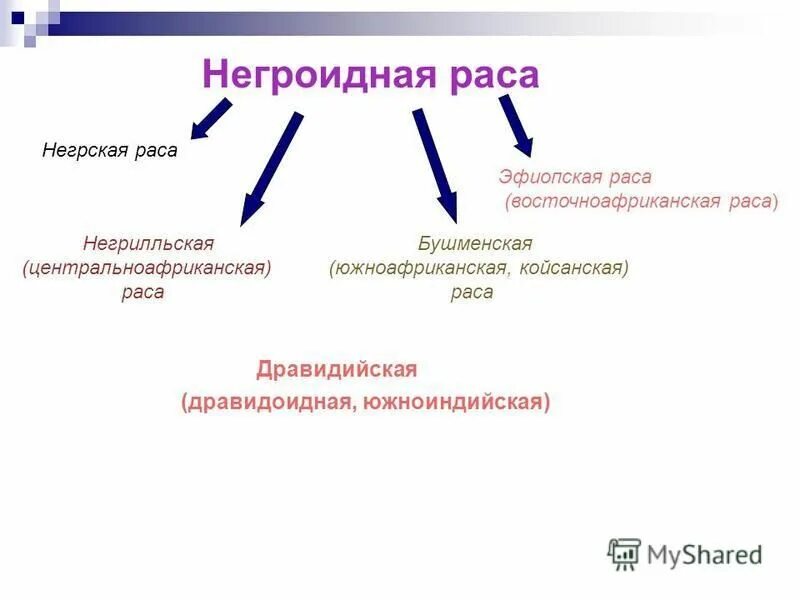 Состав населения африки. Соотношение рас в мире. Численность населения алжира. Расовый состав алжира. Расы африки карта.
