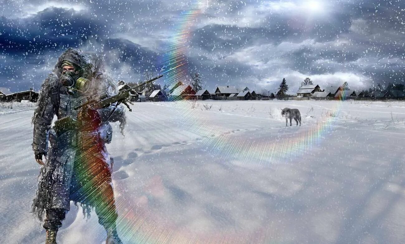Stalker winter