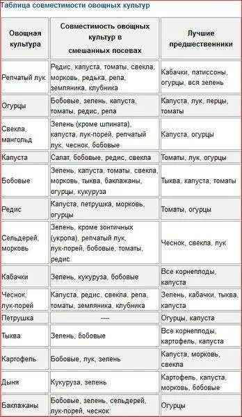 После каких культур можно сажать капусту. Культуры предшественники овощей таблица. После каких овощей можно садить морковь. После чего садить морковь на следующий год таблица. После чего сажать морковь на следующий год таблица.