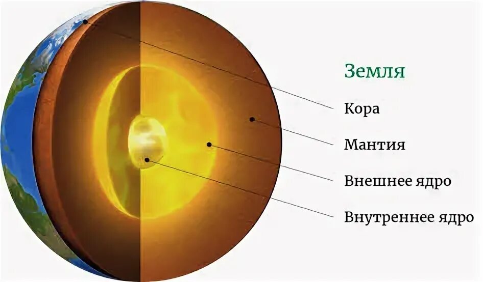 Внутреннее строение мантии