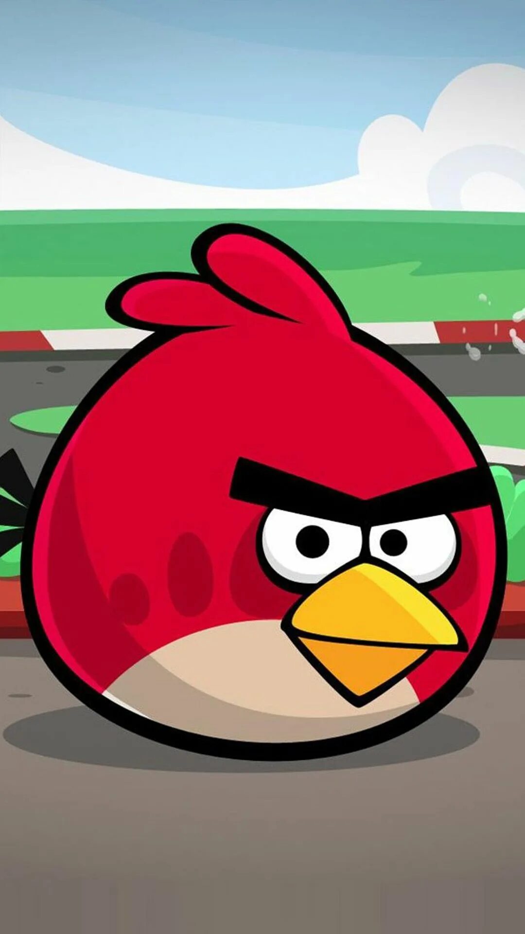 Бердс сердитые птички. Энгри бердз злые птички. Игра Angry Birds Red. Энгри берс злая птичка. Ред из Энгри бердз из игры.