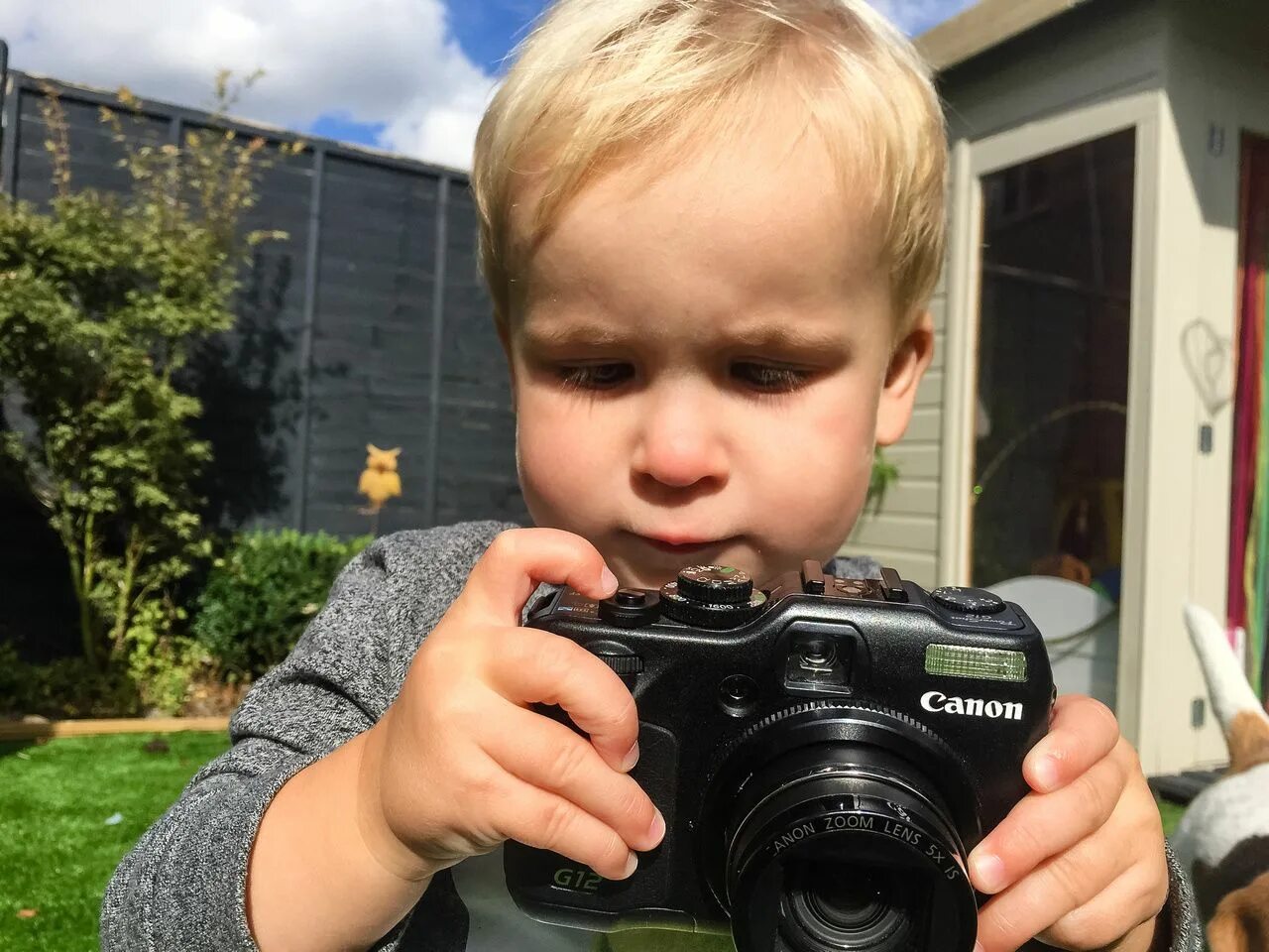 Сделать детскую фотографию. Ребенок фотографирует. Дети которые фотографируют. Фотоаппарат для детей. Малыши фотографируются.