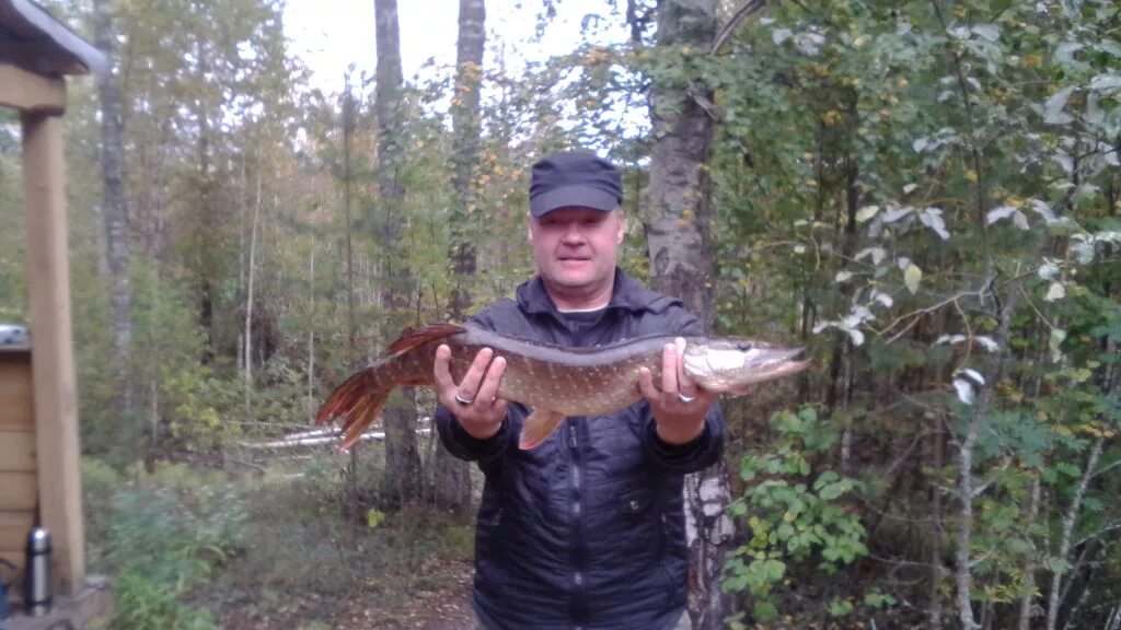 Озеро Вад Нижегородской области. Вадозеро Кандалакшского района. Рыбалка в Сыктывкаре. Рыба озера Вад.