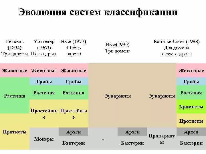 Evolution systems. Эволюция систем классификации. Эволюция систем классификации живых организмов. Систематика органического мира. Систематика Уиттекера.