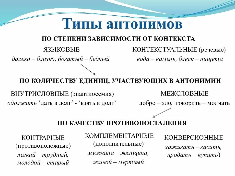 Лексические антонимы типы