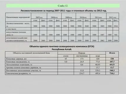 Форма проекта лесовосстановления