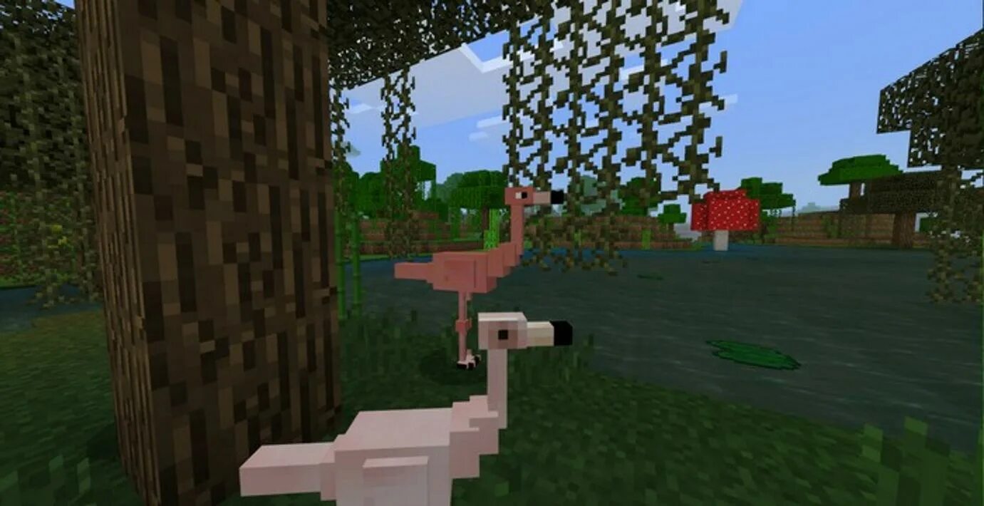 Wizard animals