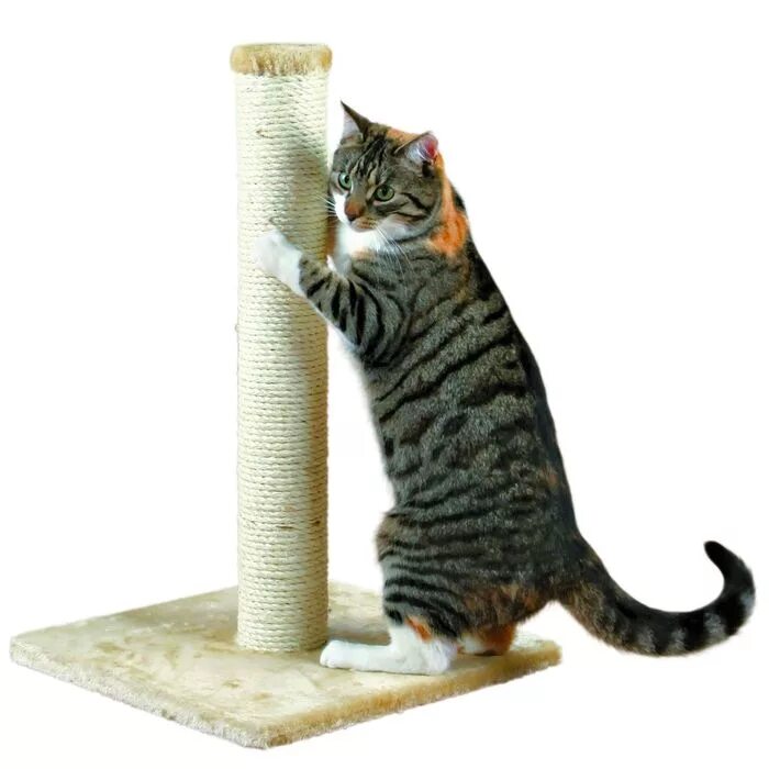 Cat scratcher. Когтеточка Trixie parla 43331. Когтеточка столбик Trixie. Trixie 43331 когтеточка д/кошек "parla" высота 60см беж.. Когтеточка Trixie Wavy 43260.