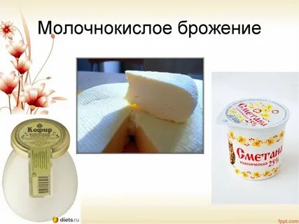 Конечными продуктами брожения являются