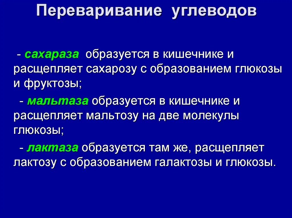 Печень расщепляет углеводы. Переваривание Глюкозы. При переваривании сахарозы в кишечнике образуется. Лактаза расщепляет. Глюкоза образуется при переваривании.