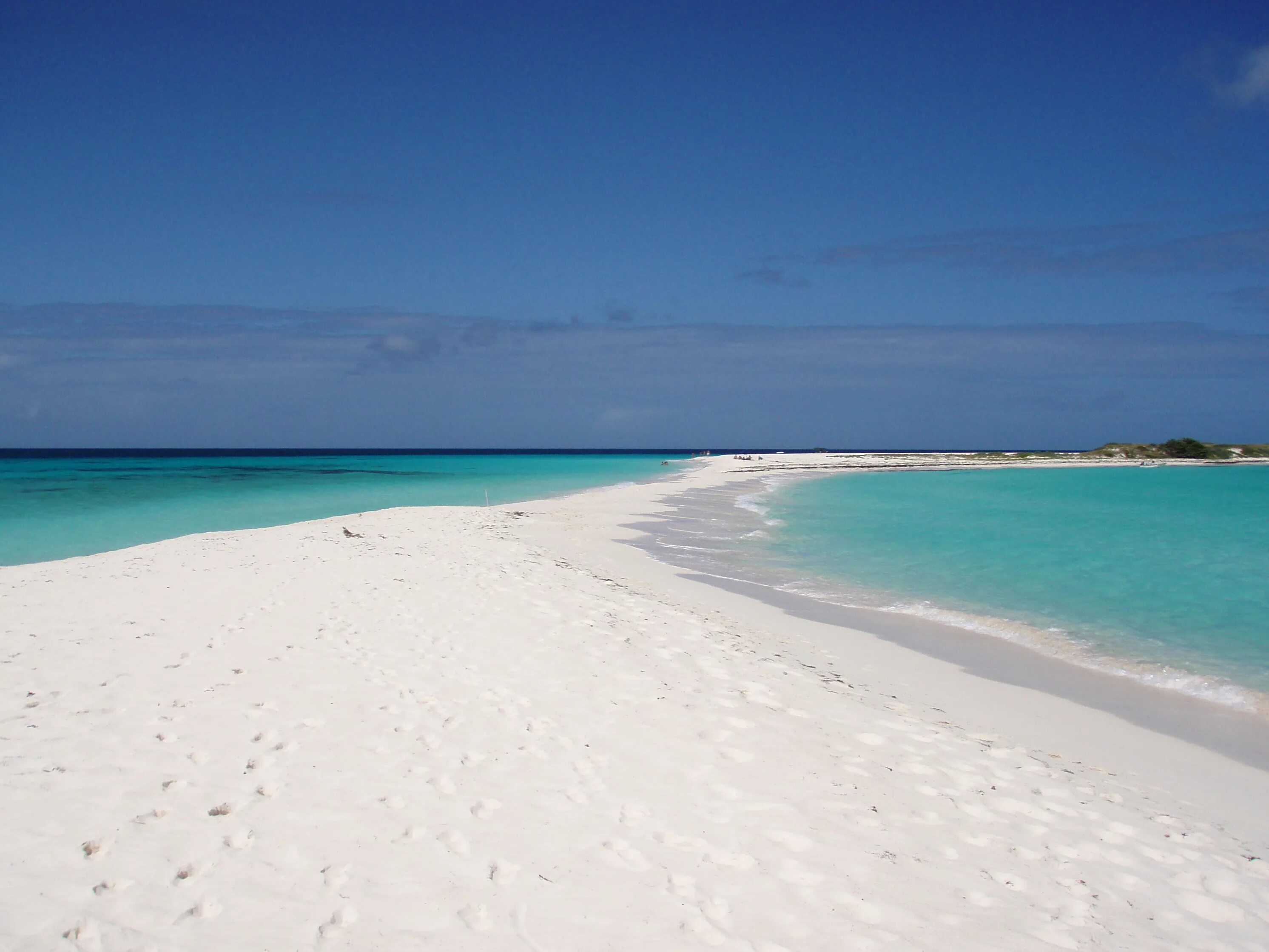 Royalton cayo santa maria. Иберостар гранд паккард гавана. Кайо-ларго пальмовый лес. Лос рокес венесуэла. Архипелаг лос-рокес венесуэла.