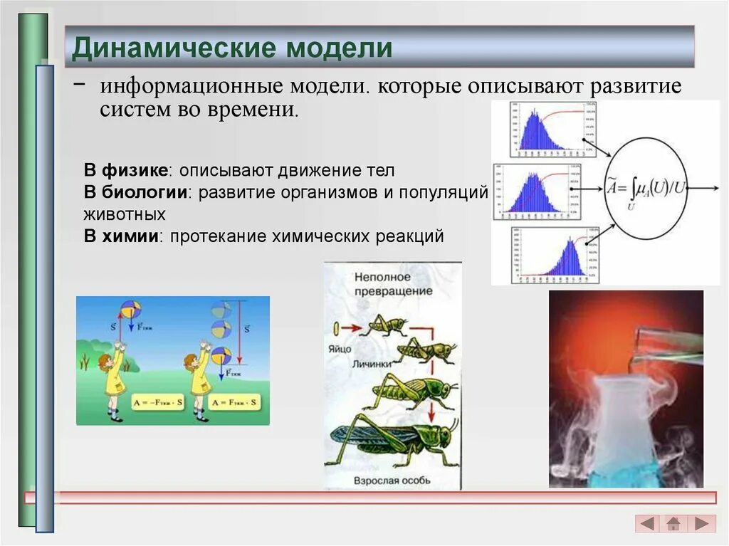 Выберите статические информационные модели
