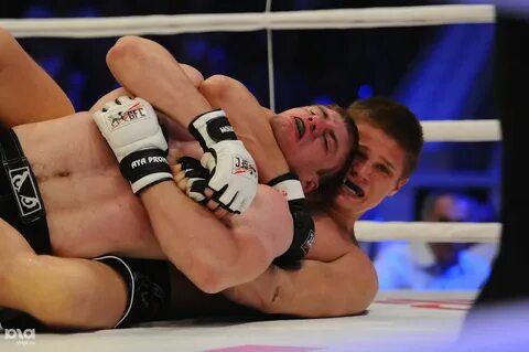 Global fight