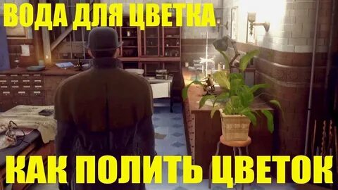 Забываете поливать