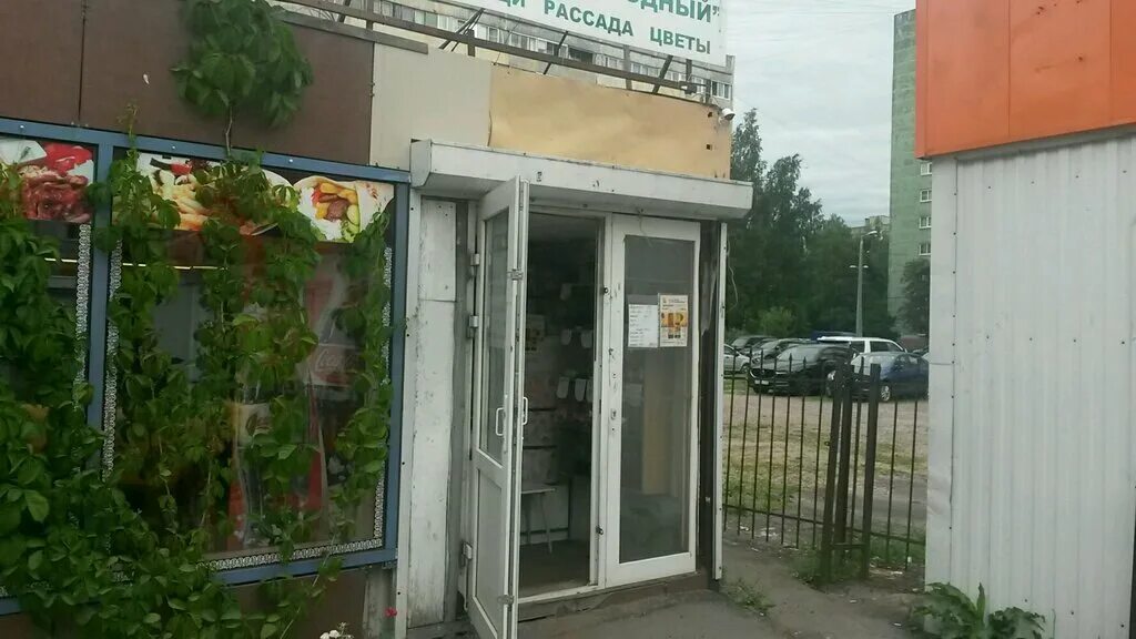 Спк пригородный ленинградская обл. Спк пригородный парголово. Спк пригородное ирбитский. Спк пригородное свердловская область. Магазин совхоза пригородный в парголово.